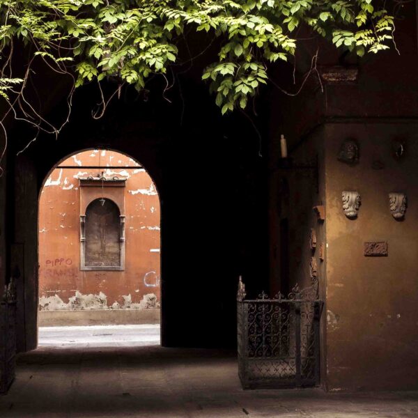 City Light - immagine 11