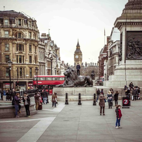 City Light - immagine 2