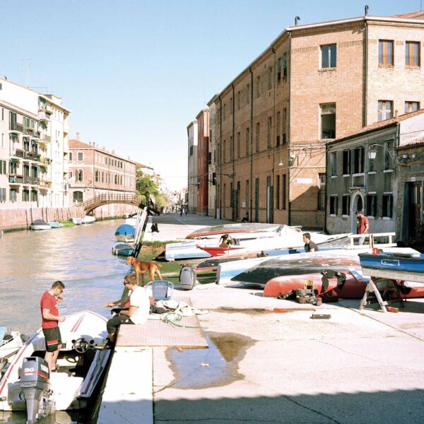 Veneziani - immagine 8