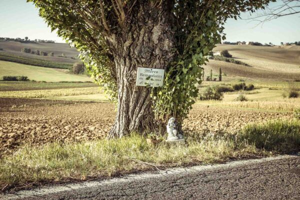 Provinciale 360 - immagine 4