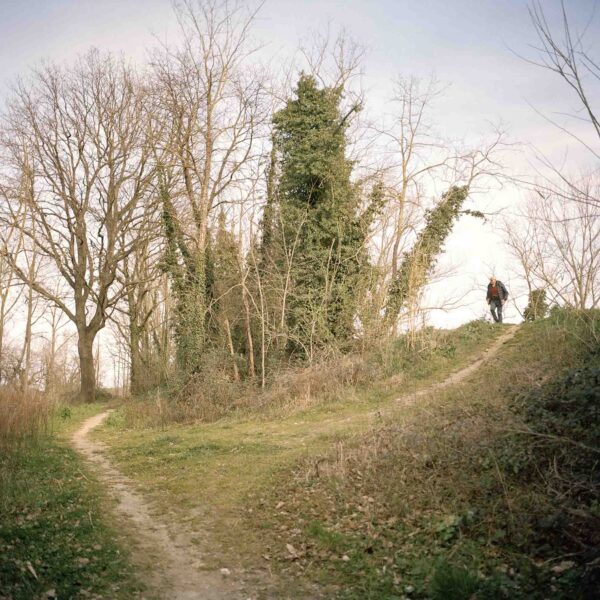 Misa. Il fiume - immagine 2