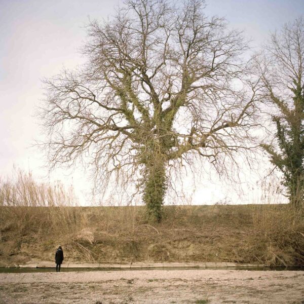 Misa. Il fiume - immagine 3
