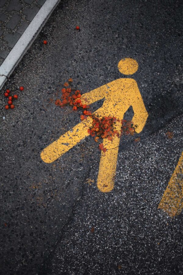 Andando a fare spesa - immagine 2