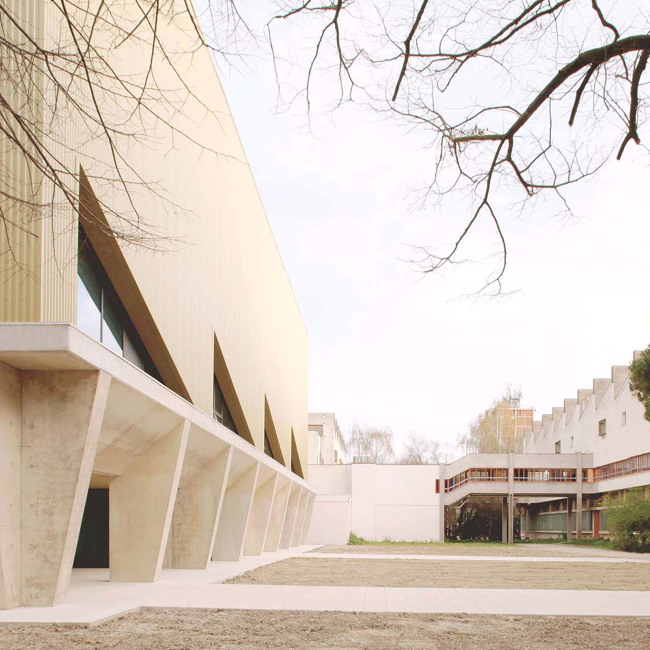 IMG_9952_square